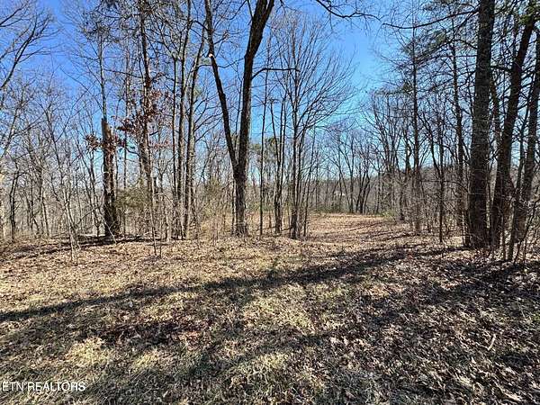 5.33 Acres of Residential Land for Sale in Crawford, Tennessee