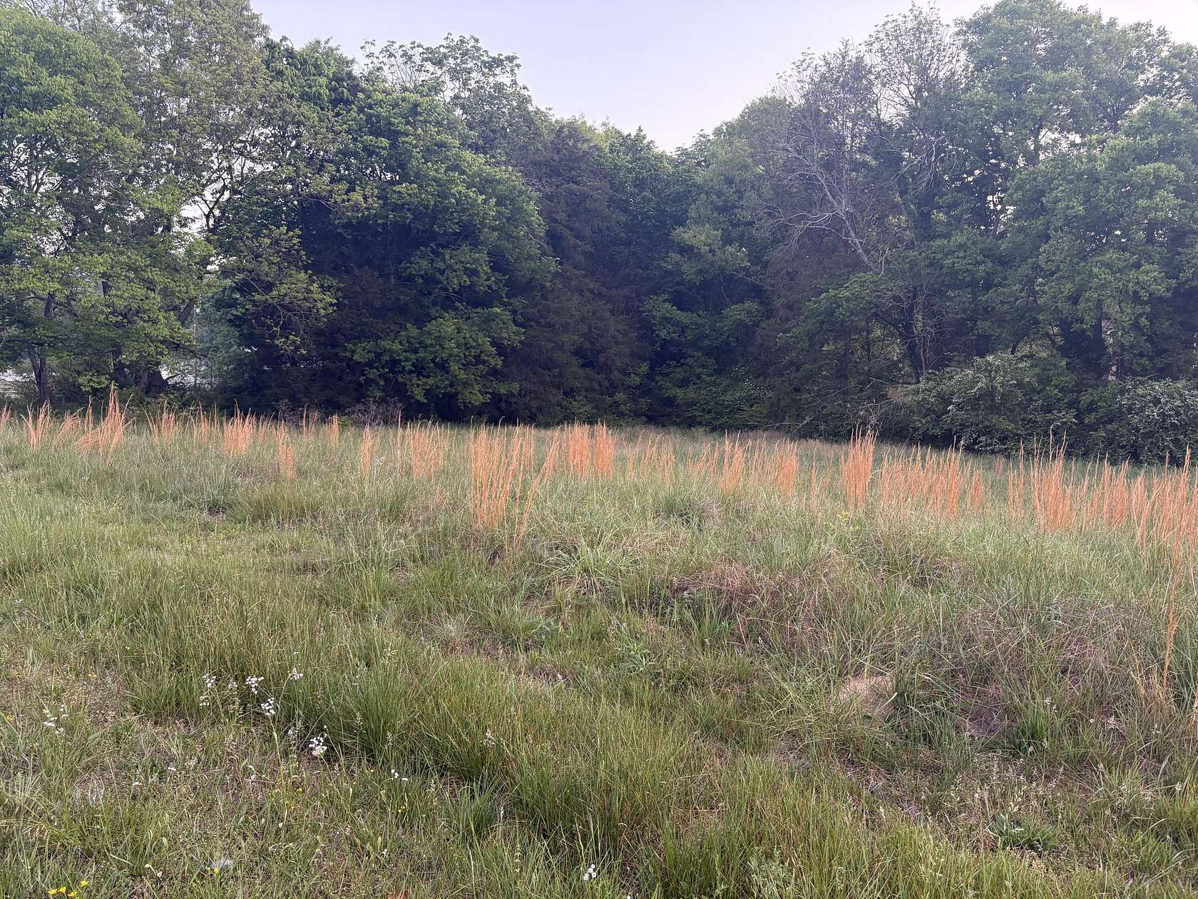 0.84 Acres of Residential Land for Sale in Flintstone, Georgia