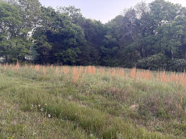 0.84 Acres of Residential Land for Sale in Flintstone, Georgia