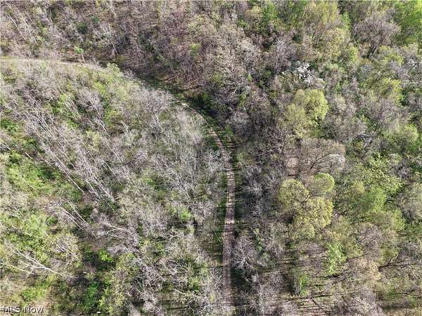 69.4 Acres of Recreational Land for Sale in Dexter City, Ohio