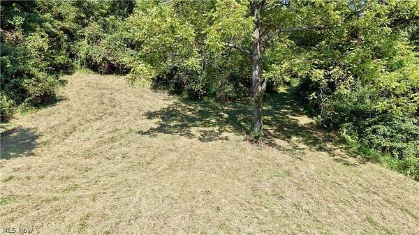 69.4 Acres of Recreational Land for Sale in Dexter City, Ohio