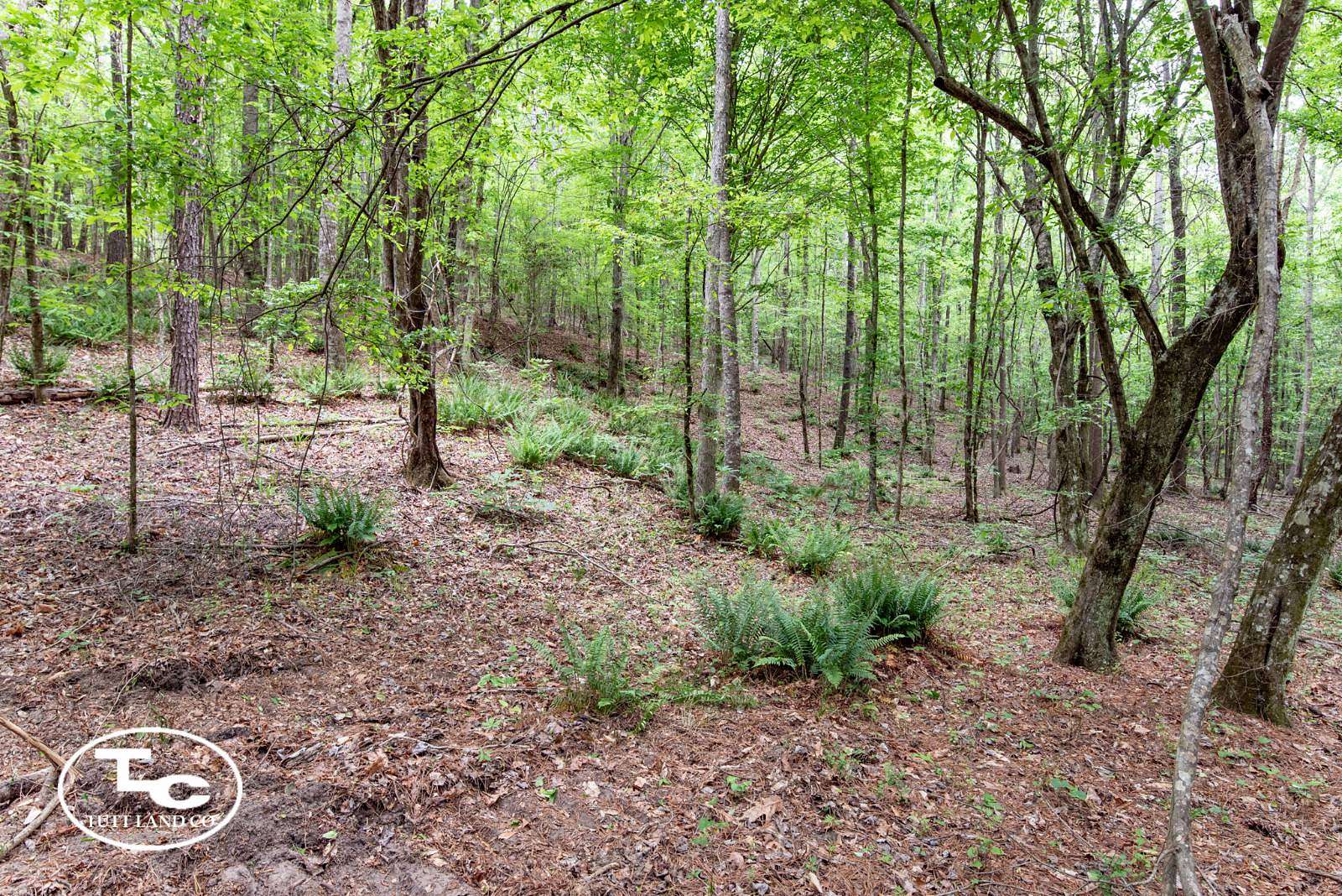 133 Acres of Land for Sale in Eutaw, Alabama