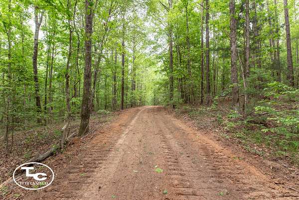 133 Acres of Land for Sale in Eutaw, Alabama