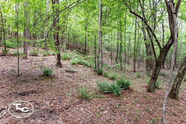 133 Acres of Land for Sale in Eutaw, Alabama