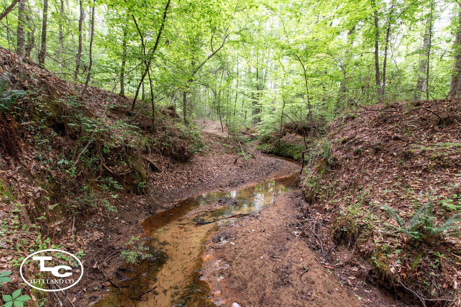 111 Acres of Land for Sale in Eutaw, Alabama