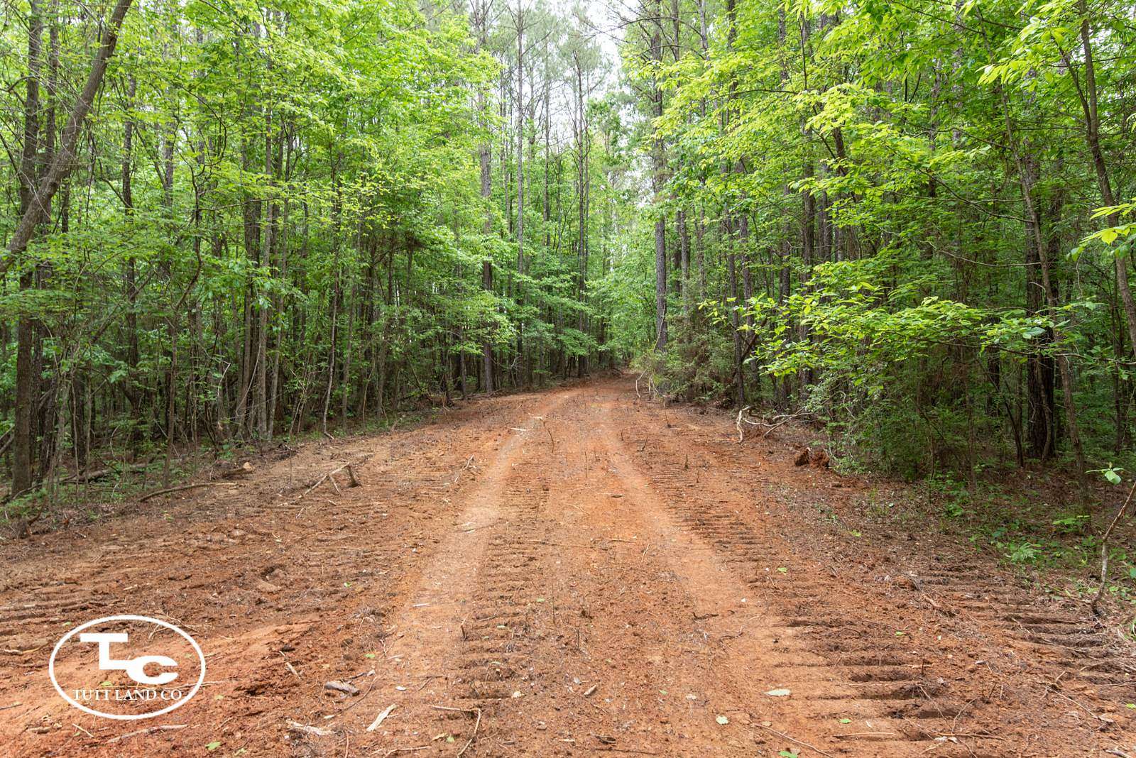 22 Acres of Land for Sale in Eutaw, Alabama