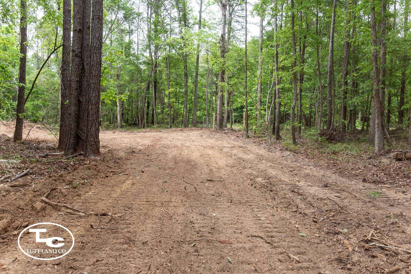 22 Acres of Land for Sale in Eutaw, Alabama