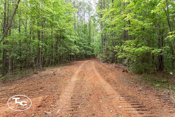 22 Acres of Land for Sale in Eutaw, Alabama