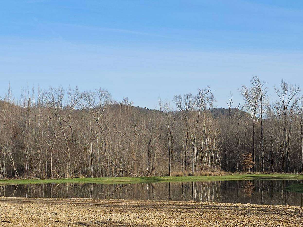 20 Acres of Recreational Land for Sale in Tuskahoma, Oklahoma