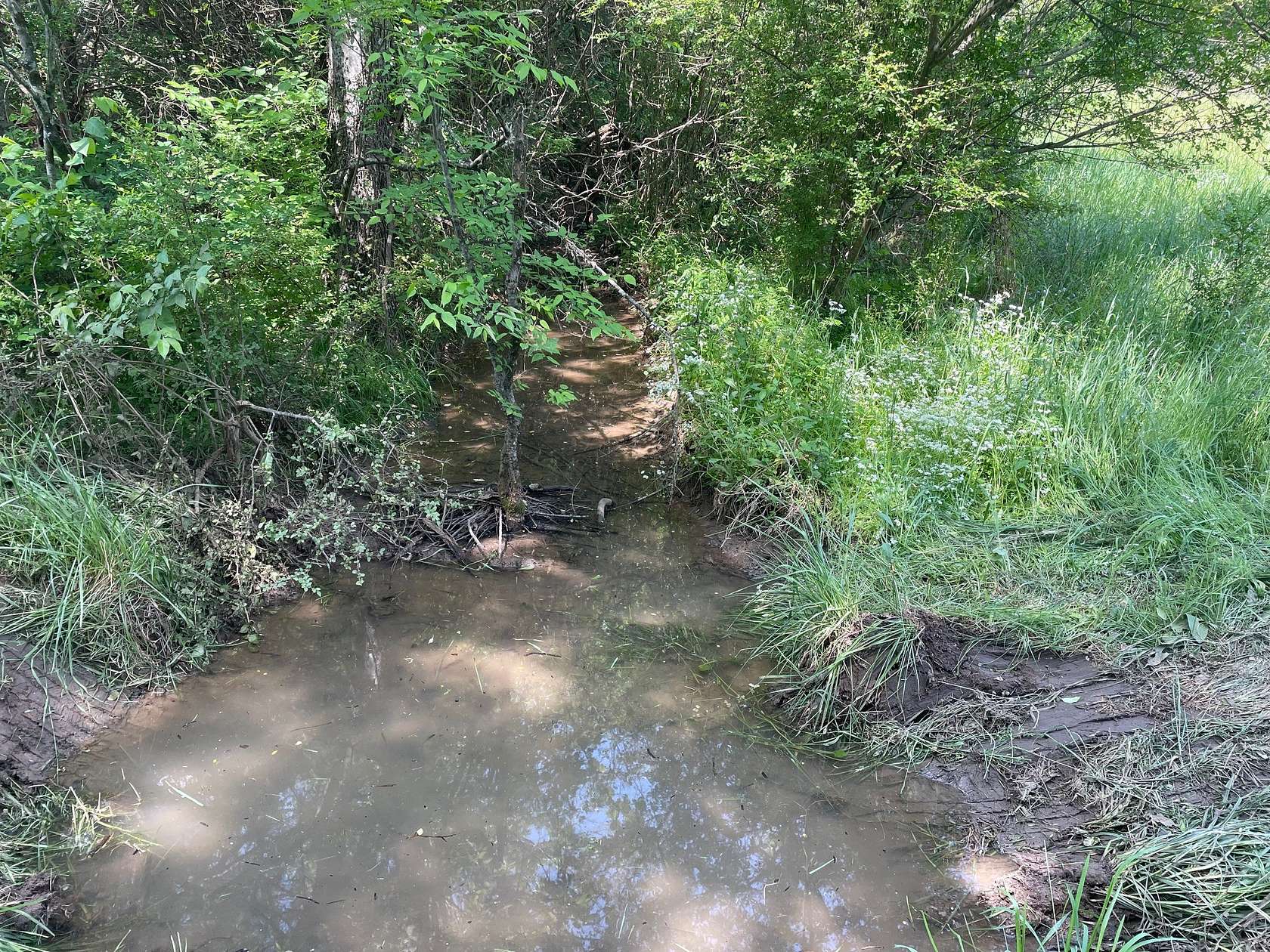 3.25 Acres of Residential Land for Sale in Columbia, Tennessee