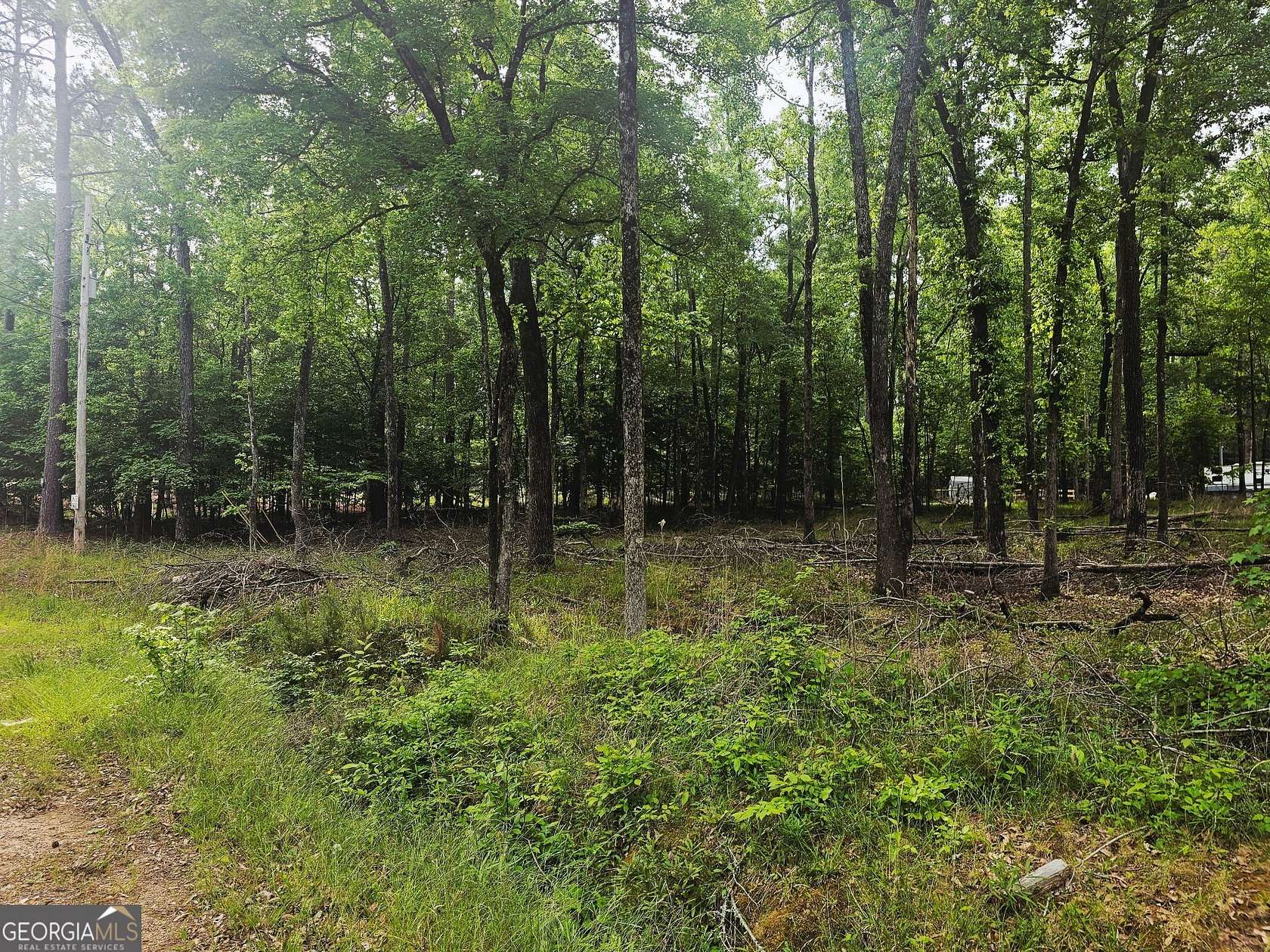 0.53 Acres of Residential Land for Sale in Sparta, Georgia