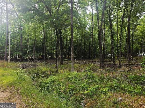 0.53 Acres of Residential Land for Sale in Sparta, Georgia