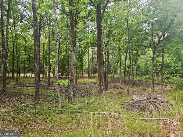 0.53 Acres of Residential Land for Sale in Sparta, Georgia