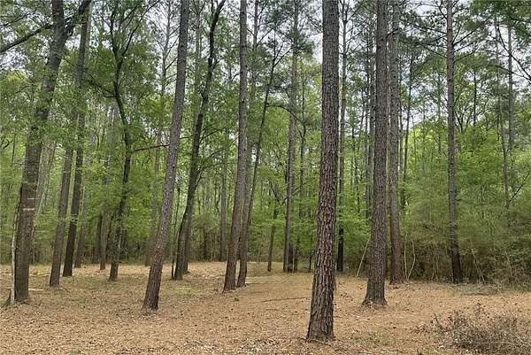 6 Acres of Residential Land for Sale in Huntsville, Texas