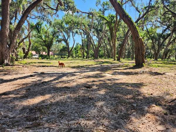 5 Acres of Land for Sale in Seffner, Florida
