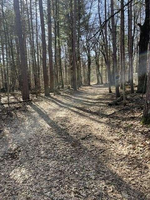 40 Acres of Land for Sale in Oconto, Wisconsin