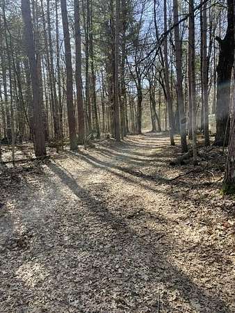 40 Acres of Land for Sale in Oconto, Wisconsin