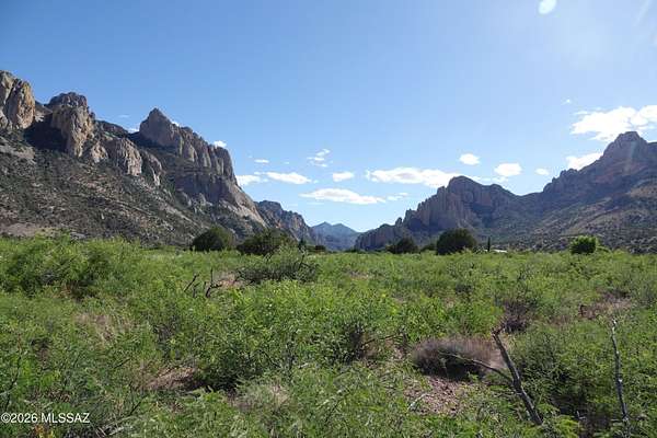 4.29 Acres of Land for Sale in Portal, Arizona
