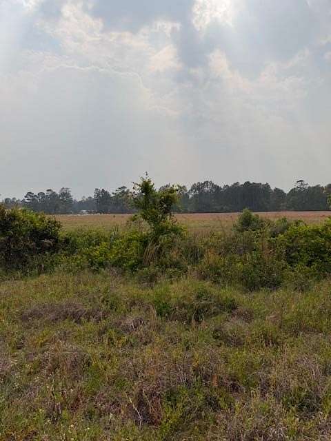 4 Acres of Residential Land for Sale in Naylor, Georgia