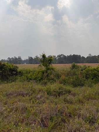 4 Acres of Residential Land for Sale in Naylor, Georgia