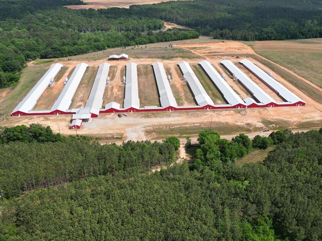 63 Acres of Agricultural Land for Sale in Abbeville, Alabama