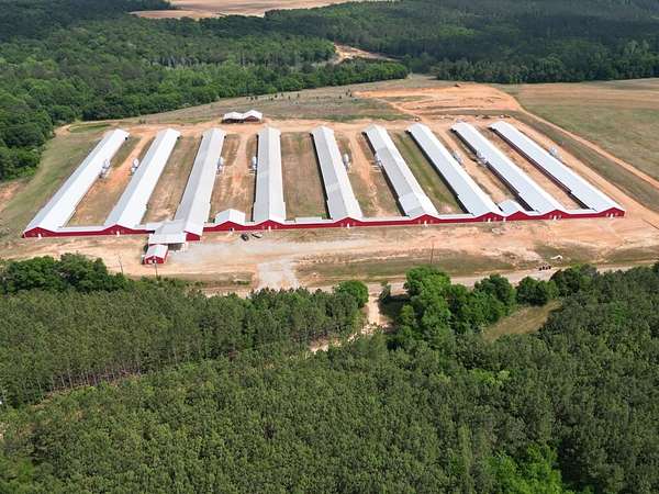 63 Acres of Agricultural Land for Sale in Abbeville, Alabama