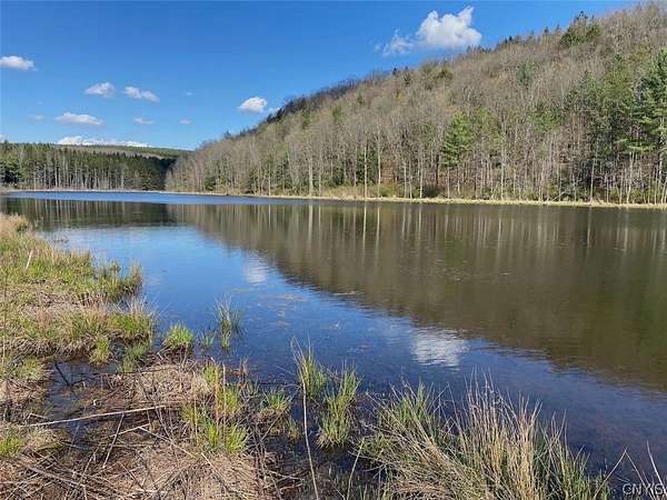 29.8 Acres of Recreational Land for Sale in Belmont, New York