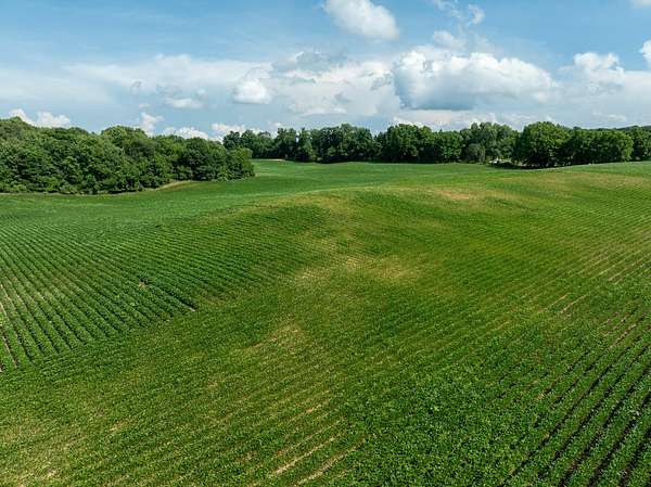 13 Acres of Recreational Land for Sale in Hopkins, Michigan