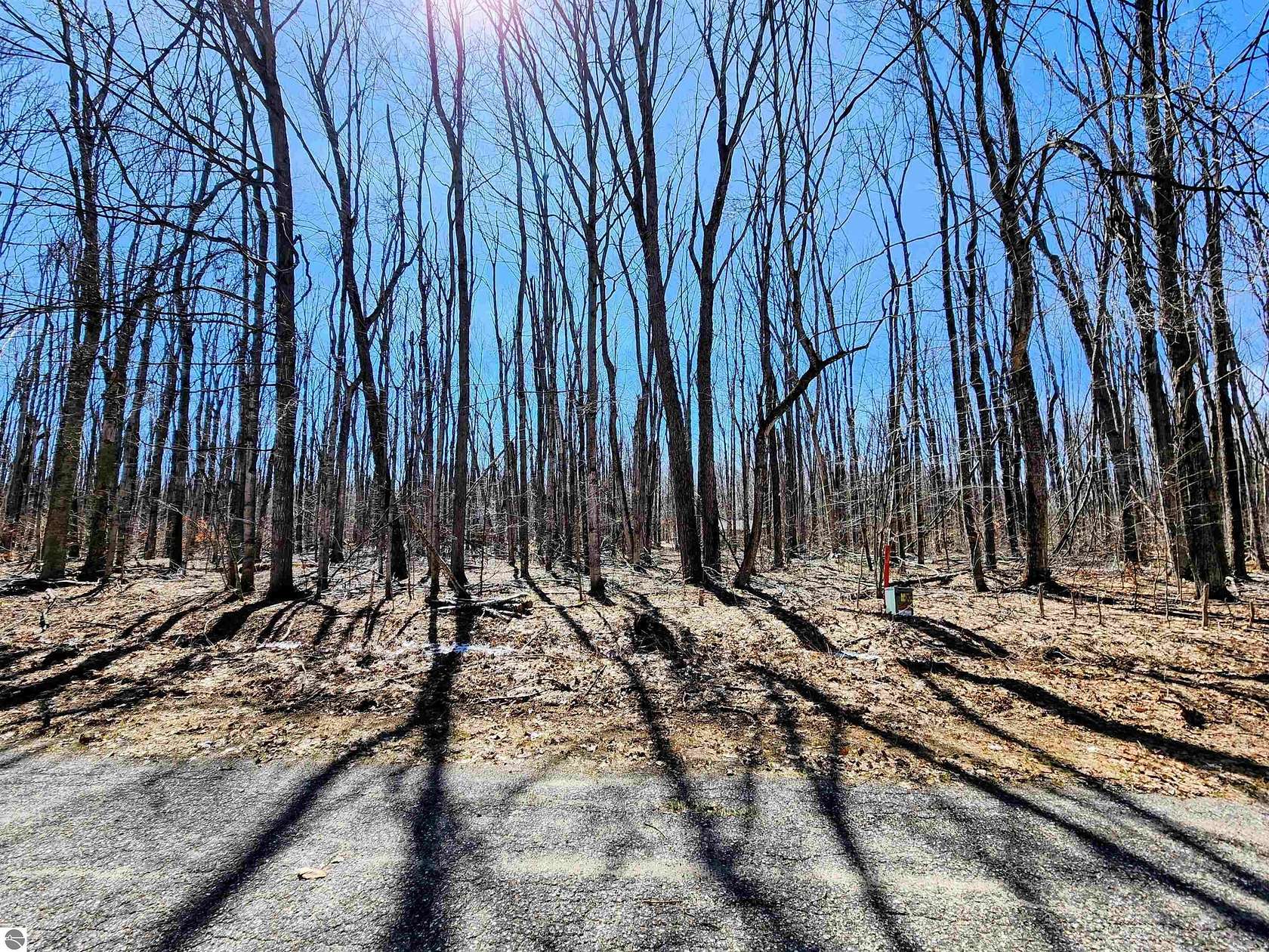 0.44 Acres of Residential Land for Sale in Elmira, Michigan