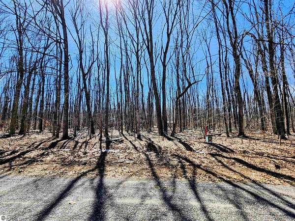 0.44 Acres of Residential Land for Sale in Elmira, Michigan