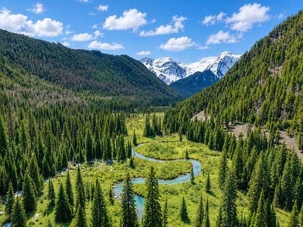 119 Acres of Recreational Land for Sale in Essex, Montana