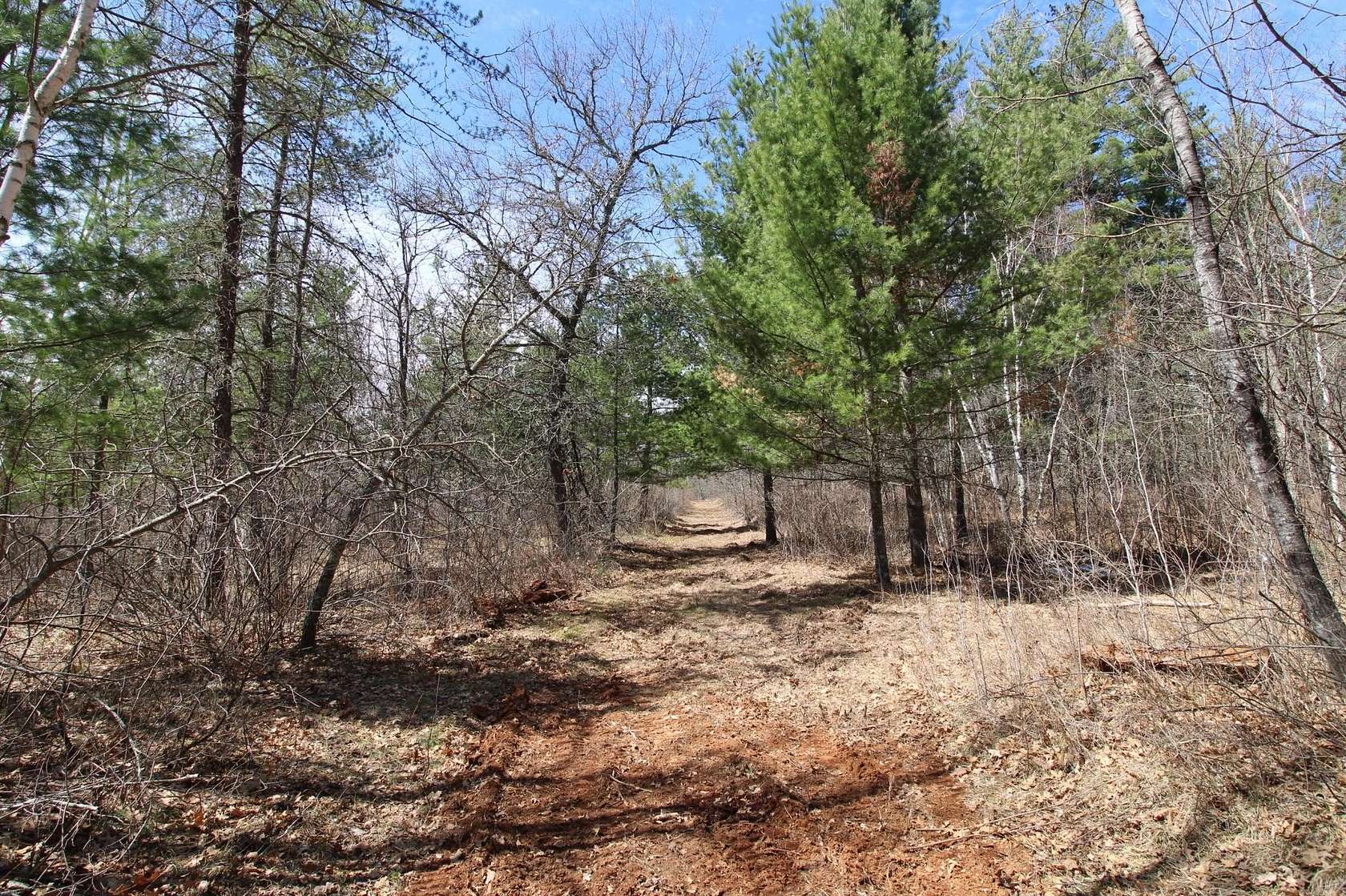 24.2 Acres of Recreational & Residential Land for Sale in Emily, Minnesota