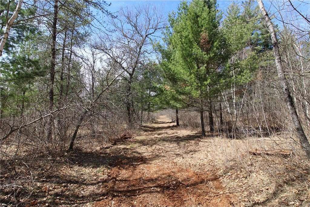 24.2 Acres of Recreational & Residential Land for Sale in Fairfield Township, Minnesota