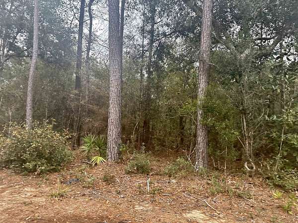 0.47 Acres of Land for Sale in Tallahassee, Florida