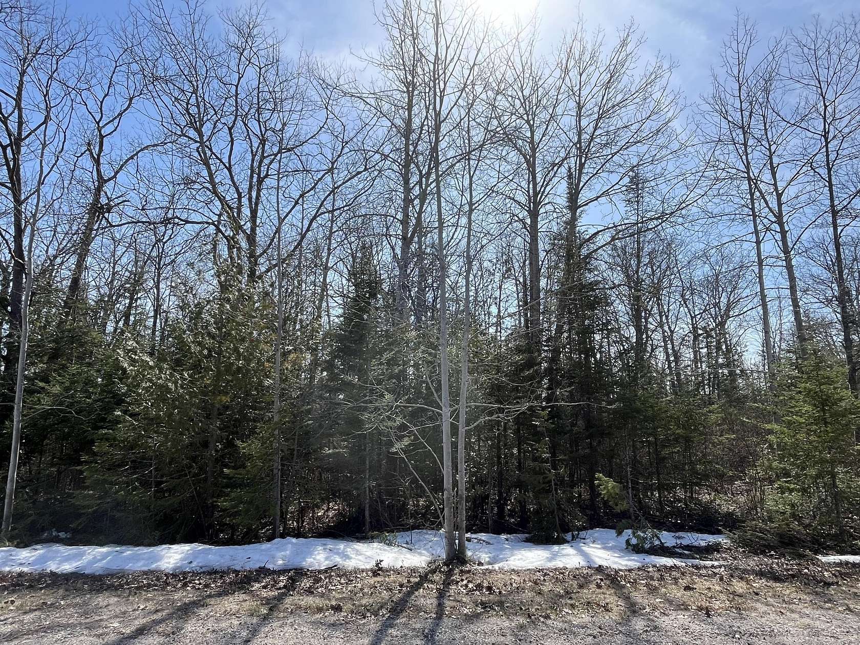 0.33 Acres of Residential Land for Sale in Presque Isle, Michigan
