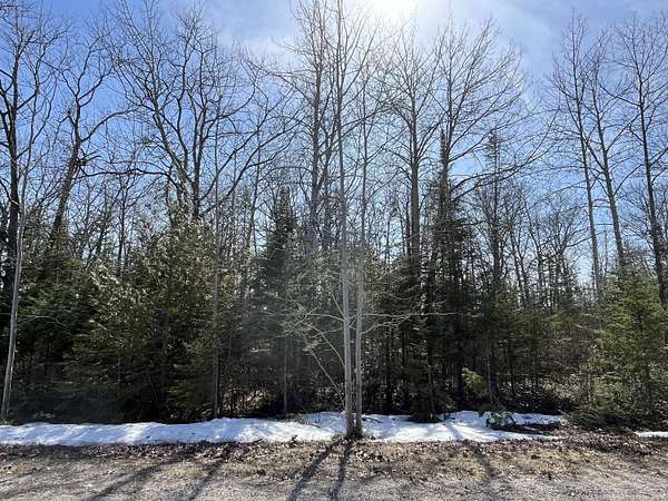 0.33 Acres of Residential Land for Sale in Presque Isle, Michigan