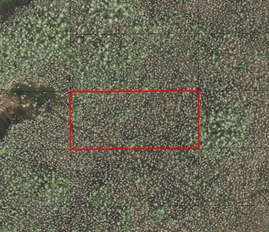 1.24 Acres of Land for Sale in St. Cloud, Florida