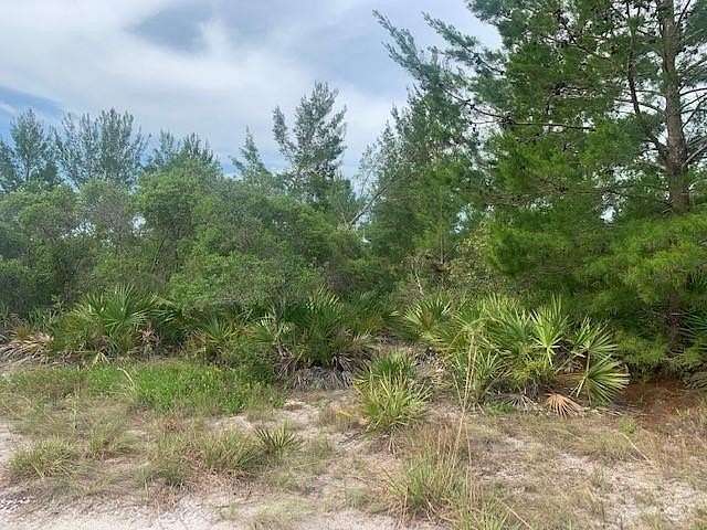 5 Acres of Land for Sale in St. Cloud, Florida