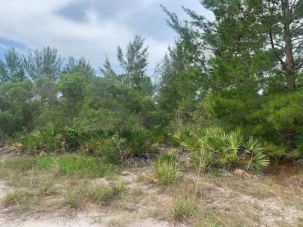 5 Acres of Land for Sale in St. Cloud, Florida