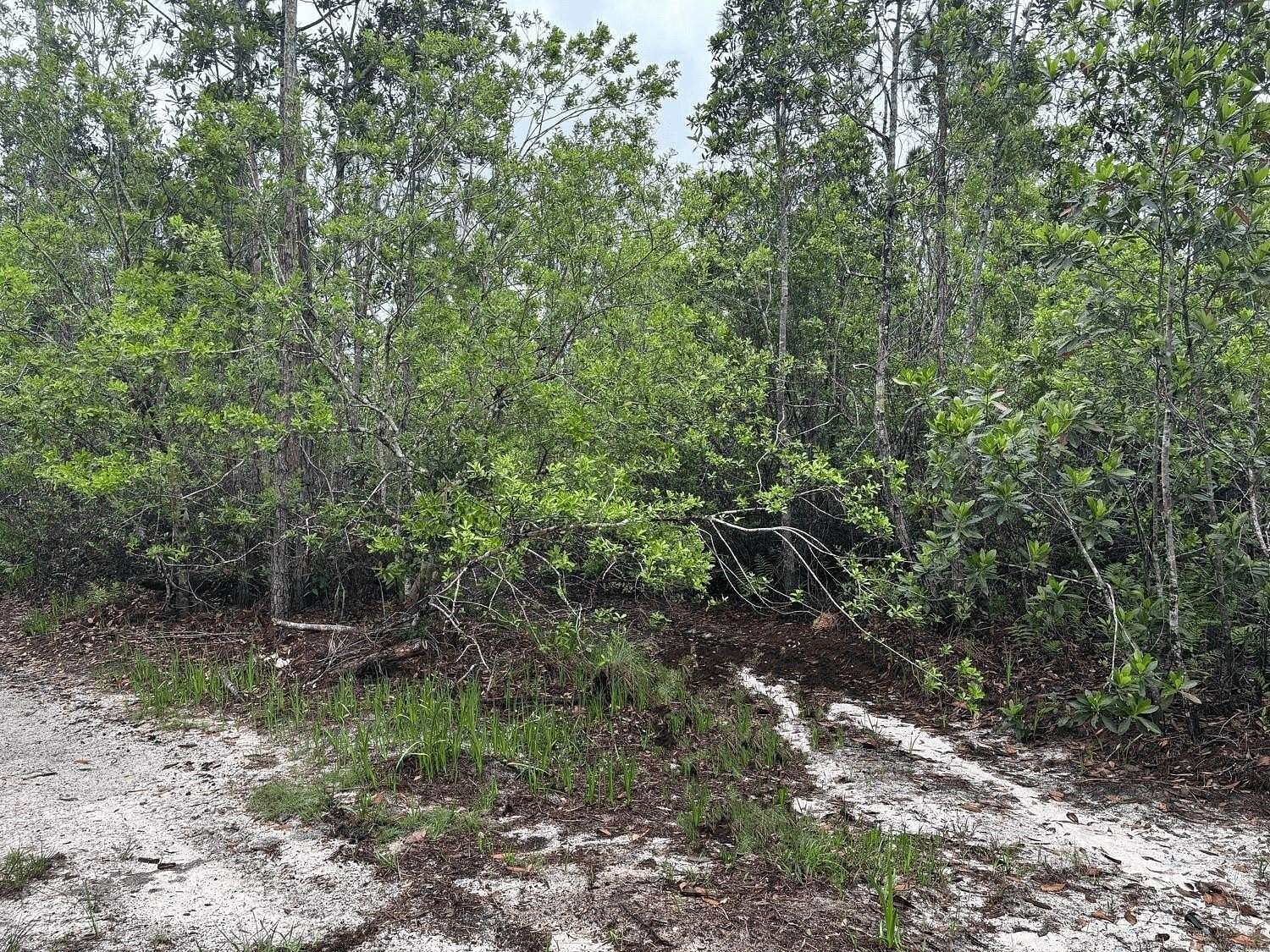 1.27 Acres of Land for Sale in St. Cloud, Florida