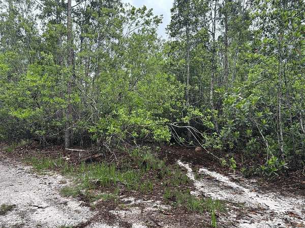 1.27 Acres of Land for Sale in St. Cloud, Florida