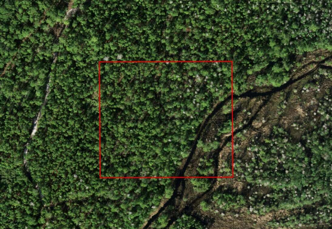 2.54 Acres of Land for Sale in St. Cloud, Florida