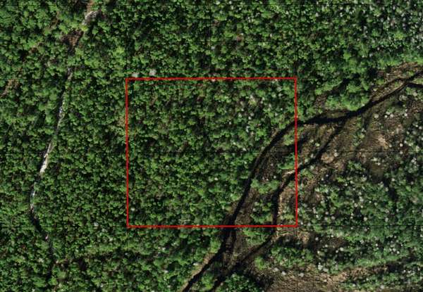 2.54 Acres of Land for Sale in St. Cloud, Florida