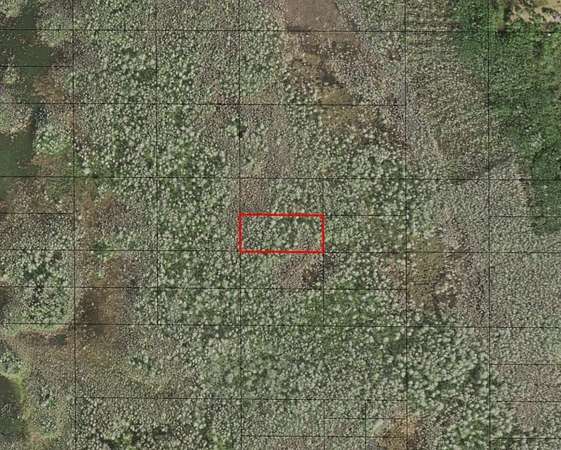 1.26 Acres of Land for Sale in St. Cloud, Florida
