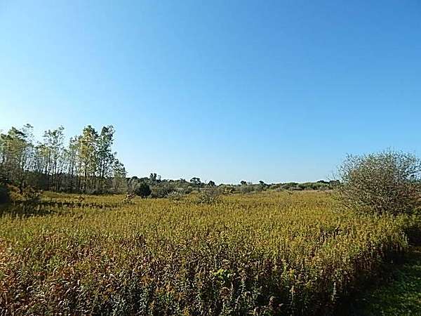 90 Acres of Land for Sale in Stockbridge, Michigan