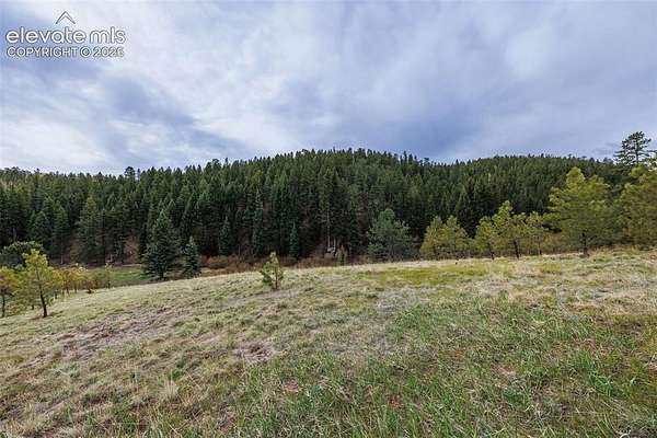 2.54 Acres of Residential Land for Sale in Woodland Park, Colorado