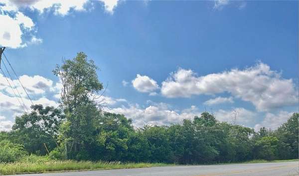 22.2 Acres of Commercial Land for Sale in Albany, Georgia