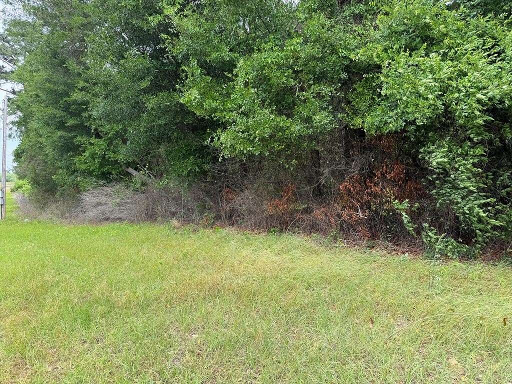 4.8 Acres of Residential Land for Sale in Albany, Georgia