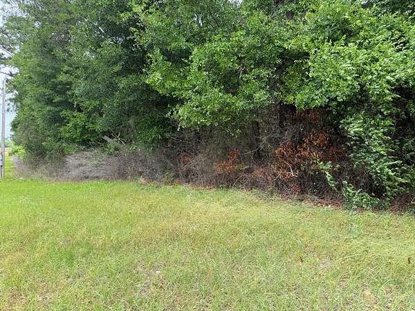 4.8 Acres of Residential Land for Sale in Albany, Georgia