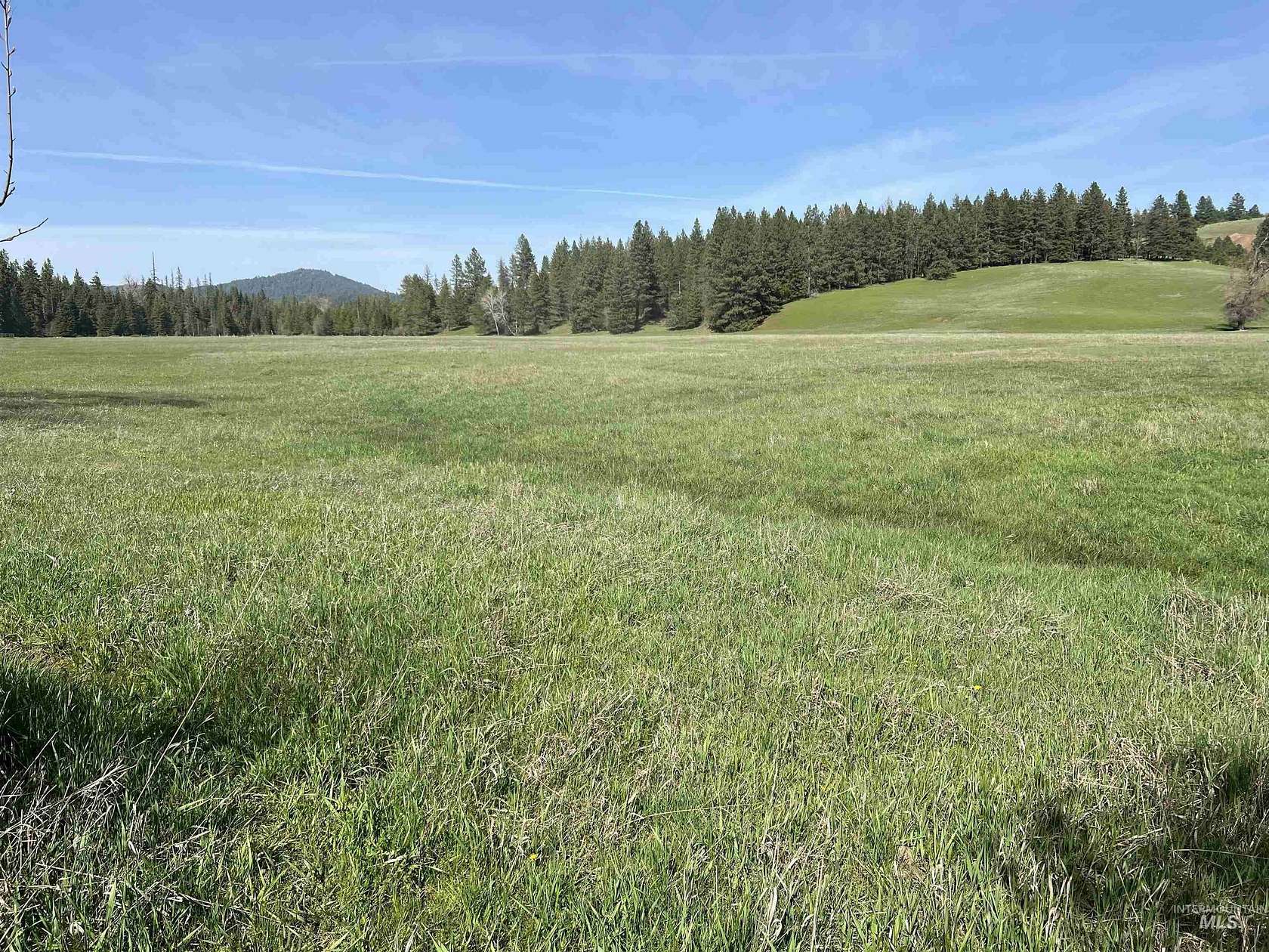79.9 Acres of Recreational & Residential Land for Sale in Potlatch, Idaho